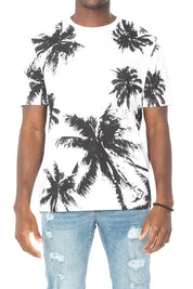 Palms