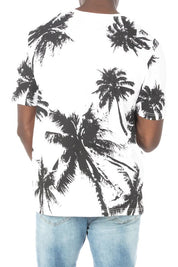 Palms