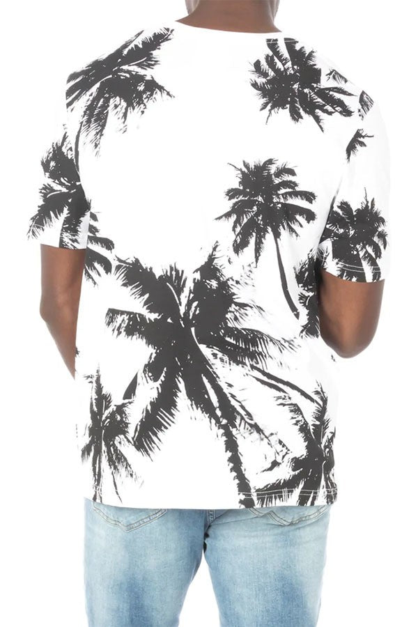 Palms