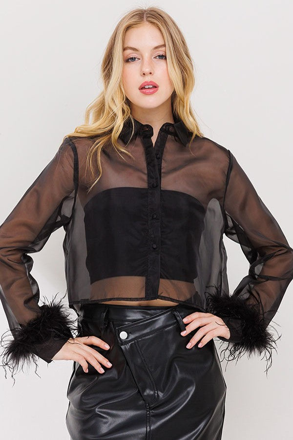 Organza Longsleeve